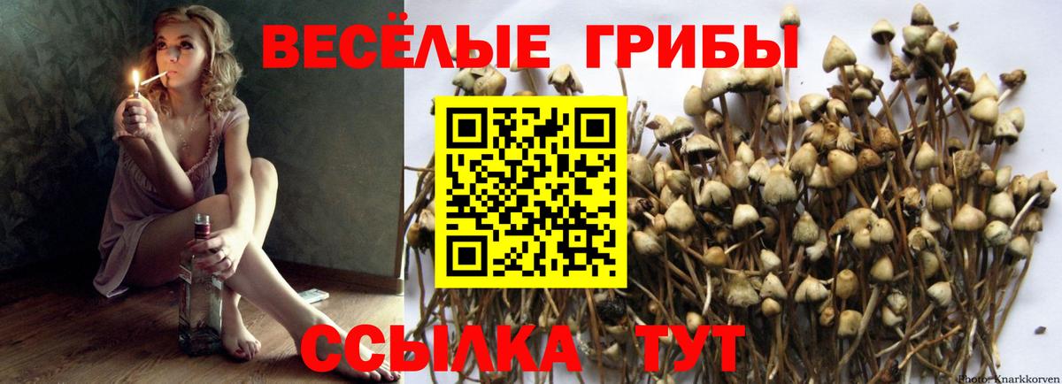 Тверь  Псилоцибиновые грибы мухоморы  даркнет сайт  Вход с VPN 