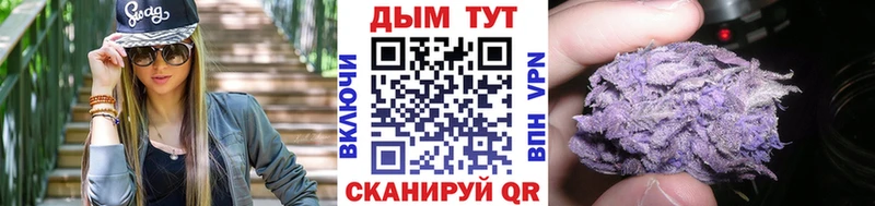 darknet наркотические препараты  Тверь  Шишки марихуана семена 